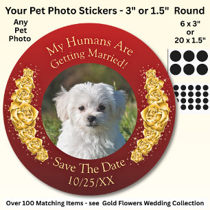Your Pet Photo, Save The Date, Gold Flowers Maroon Classic Round Sticker