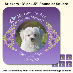 Your Pet Photo, Save The Date, Purple Mauve Flower Square Sticker