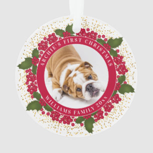 Your Pet's First Christmas Personalized Pet Photo Ornament