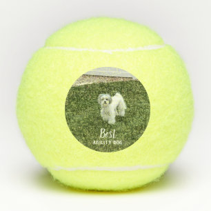 Your Pet's Photo Personalized With Text Tennis Balls