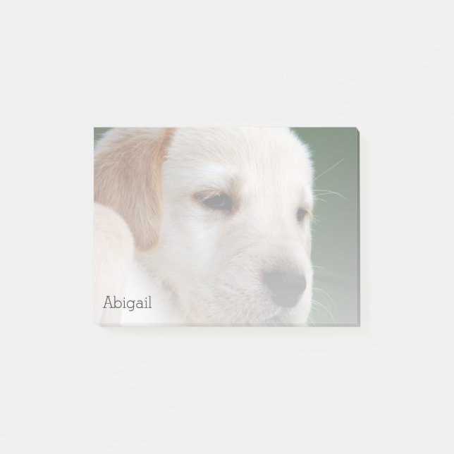 Your Photo Automatically Gradually Fades Post-it Notes (Front)