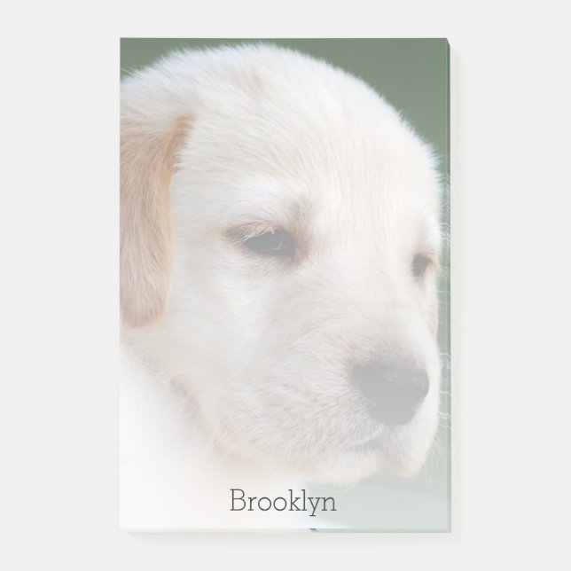 Your Photo Automatically Gradually Fades Post-it Notes (Front)