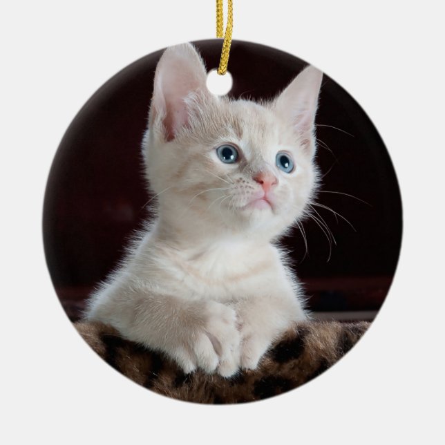 Your Photo Custom Ceramic Ornament (Front)