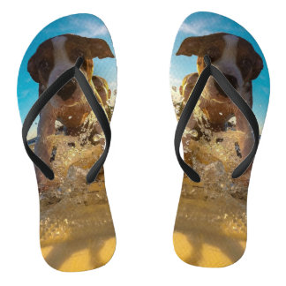 Your Photo Here - Custom Pet Photo Flip Flops