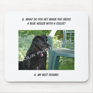 Your Photo Here! My Best Friend Blue Heeler Mix Mouse Pad