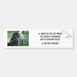 Your Photo Here! My Best Friend Havanese Mix Bumper Sticker