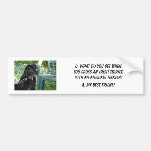 Your Photo Here! My Best Friend Irish Terrier Mix Bumper Sticker