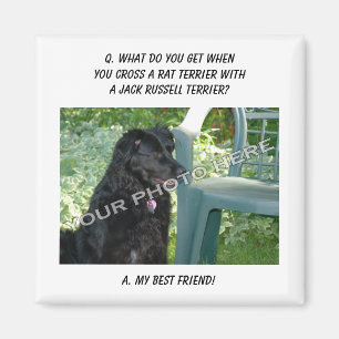 Your Photo Here! My Best Friend Rat Terrier Mix Magnet