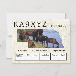 Your Photo Nebraska Shaped Cutout Custom QSL Postcard