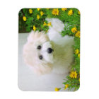 Your Photo On A Flexible Magnet