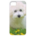 Your Photo On iPhone 5