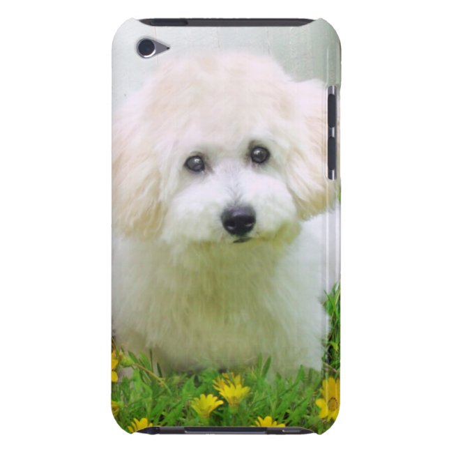 Your Photo On iPod Touch Case-Mate Case (Back)