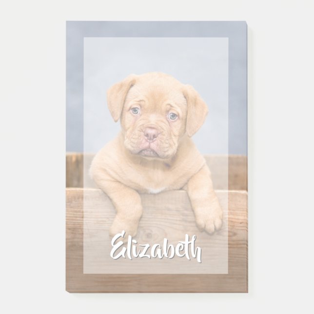 Your Photo Simple Modern White Script Name Overlay Post-it Notes (Front)