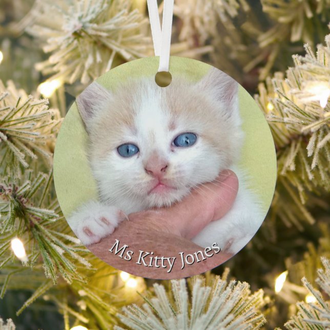 Your Photo/Text -Traditional Annual Gift & Message Metal Ornament (Insitu)