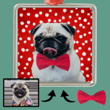 Your Photo with Digital Accessories Hat Bowtie Etc