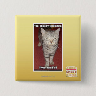 Your stupidity is blinding 2 2 inch square button