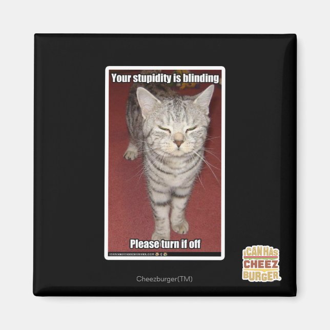 Your stupidity is blinding 2 magnet (Front)