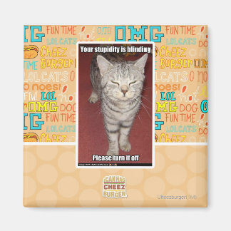 Your stupidity is blinding 2 magnet