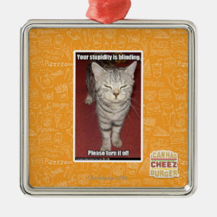 Your stupidity is blinding 2 metal ornament