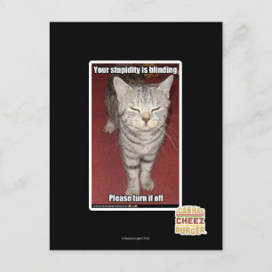 Your stupidity is blinding 2 postcard