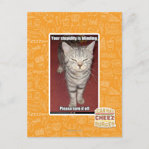 Your stupidity is blinding 2 postcard