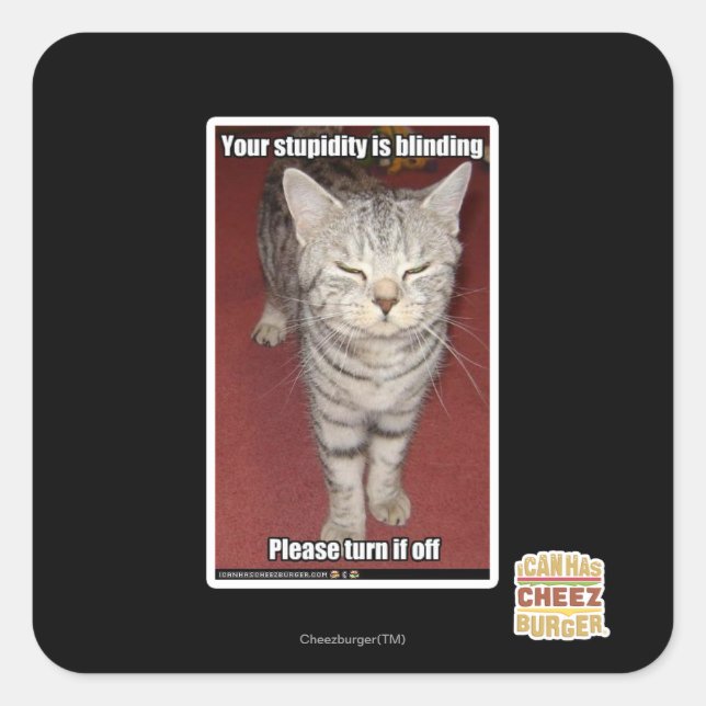 Your stupidity is blinding 2 square sticker (Front)