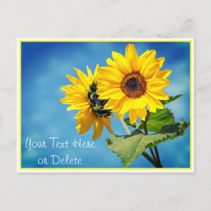 Your Text/Colour Yellow Sunflowers & Blue Skies Postcard