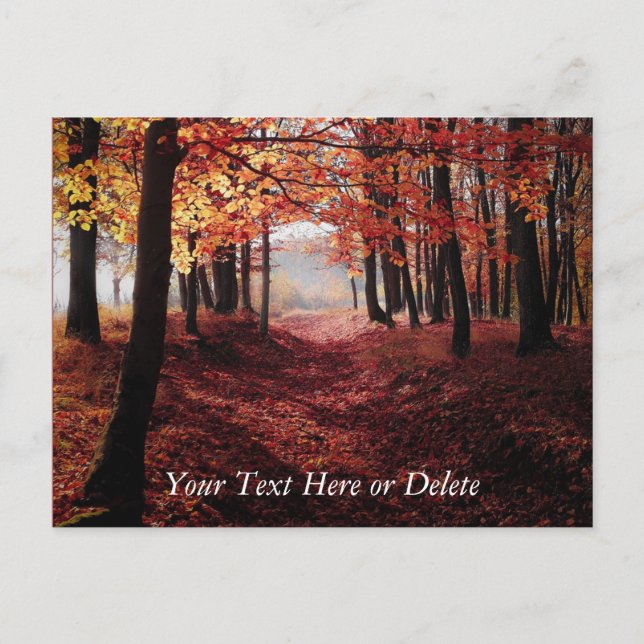 Your Text Crimson Red Autumn Leaves Forest Path Postcard (Front)