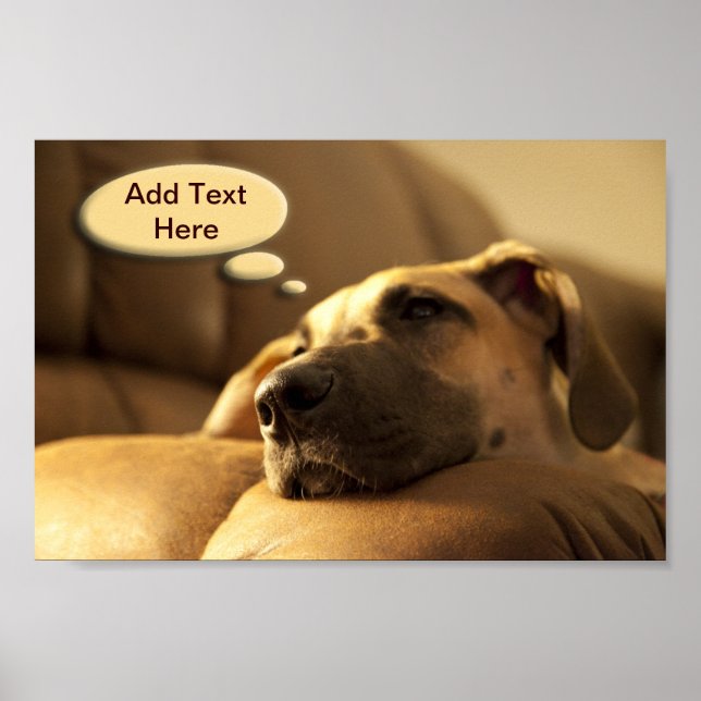 Your Text Dane Puppy Poster (Front)