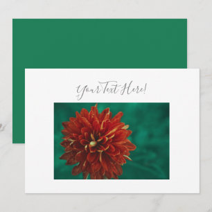 Your Text Gorgeous Red Dahlia Flower Invitation