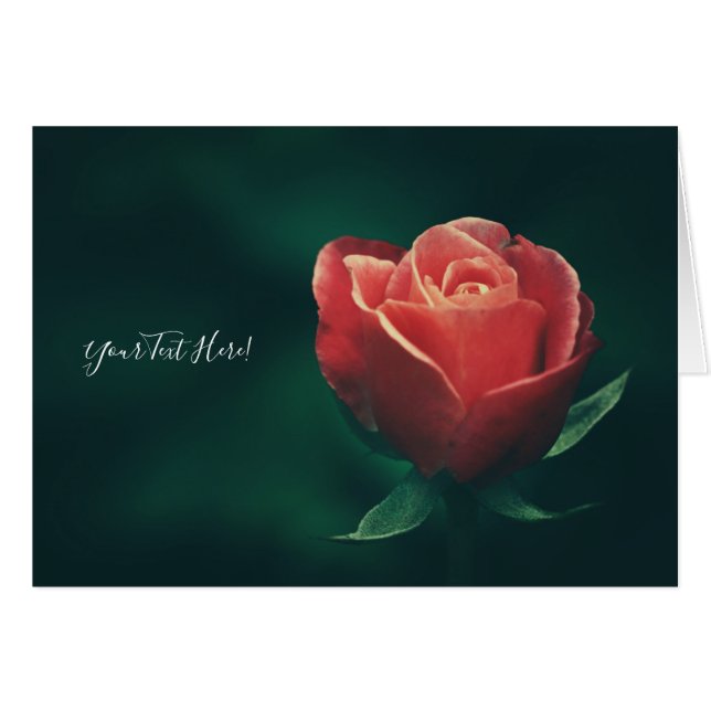 Your Text Gorgeous Red Rose Flower Greeting Card (Front Horizontal)