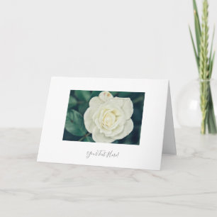 Your Text Gorgeous White Rose Flower Greeting Card