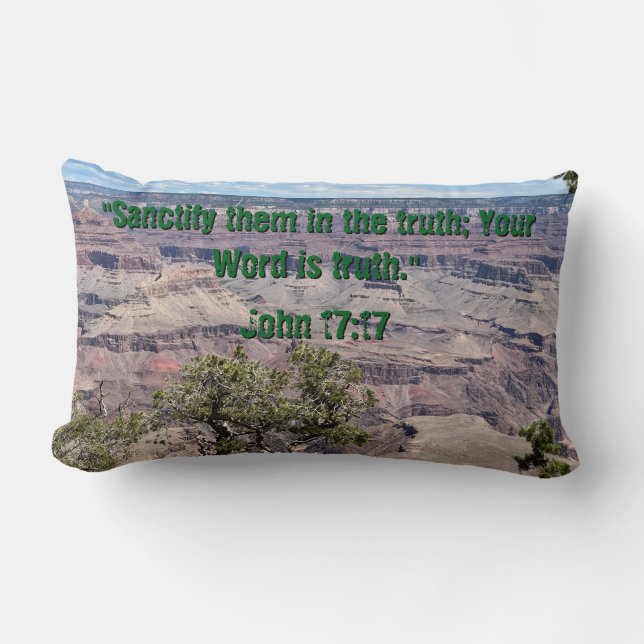 Your Word Is Truth Lumbar Pillow (Front)