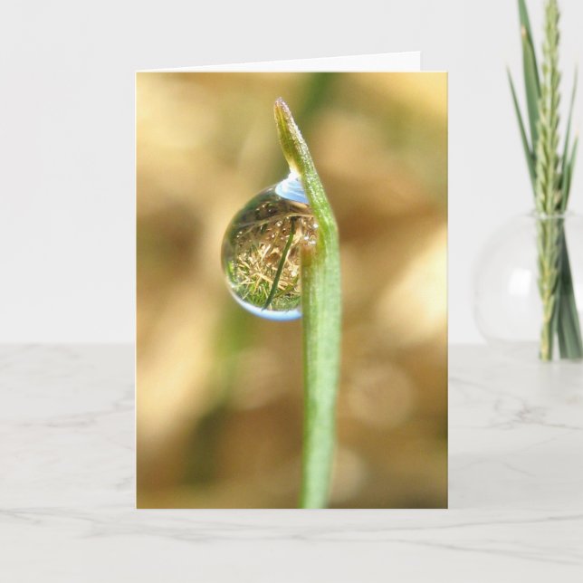 Your World Turned Upside Down Card (Front)