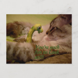 You're fun to look at Postcard