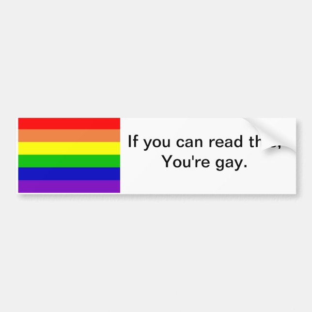 You're Gay Bumper Sticker (Front)