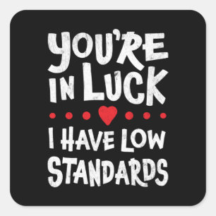 You're In Luck I Have Low Standards Sticker