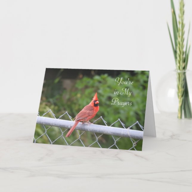 You're in My Prayers | Cardinal Photography Card (Front)
