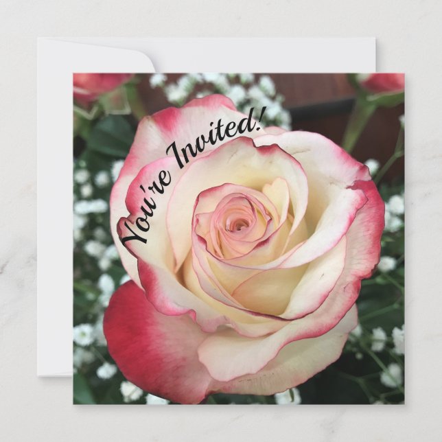 You're Invited, Blushing Rose Card (Front)