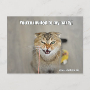 You're invited invitation postcard