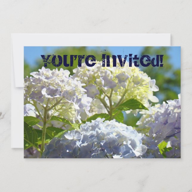 You're Invited! Party Party Party Invitations (Front)