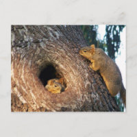 You're Invited_ Postcard_by Elenne