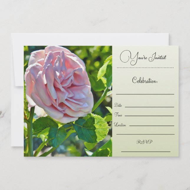 You're Invited - Single Rose Invitation (Front)