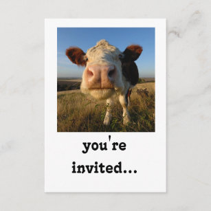 you're invited to a hoedown! invite card