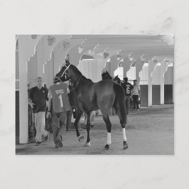 You're Killin Me by Adios Charlie Postcard (Front)