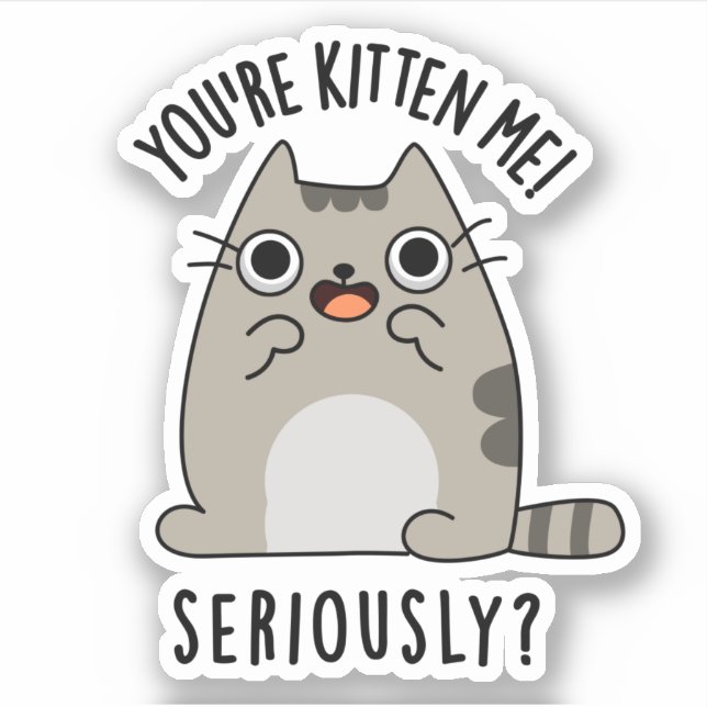 You're Kitten Me Seriously Funny Cat Pun  (Front)