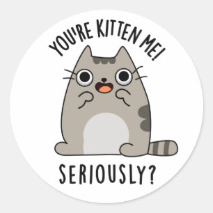 You're Kitten Me Seriously Funny Cat Pun  Classic Round Sticker