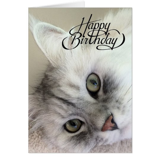 You're Meowvelous Birthday Card