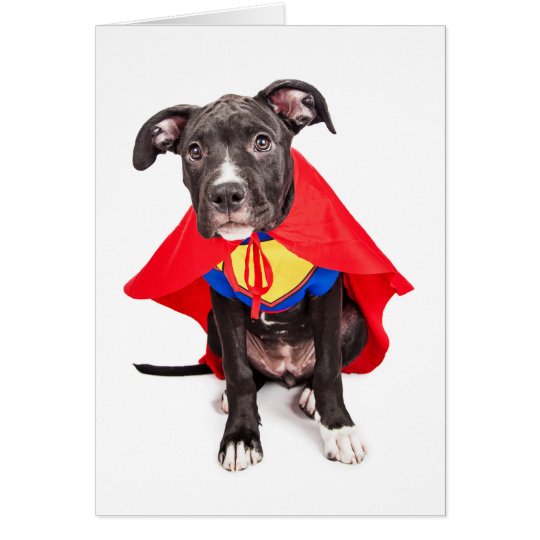You're My Hero Greeting Card