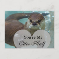 You're my Otter Half Brown River Otter Swimming